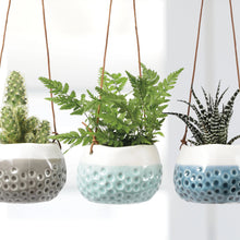 Load image into Gallery viewer, Baby Dotty Hanging Planters