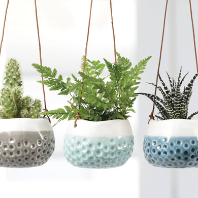 Baby Dotty Hanging Planters